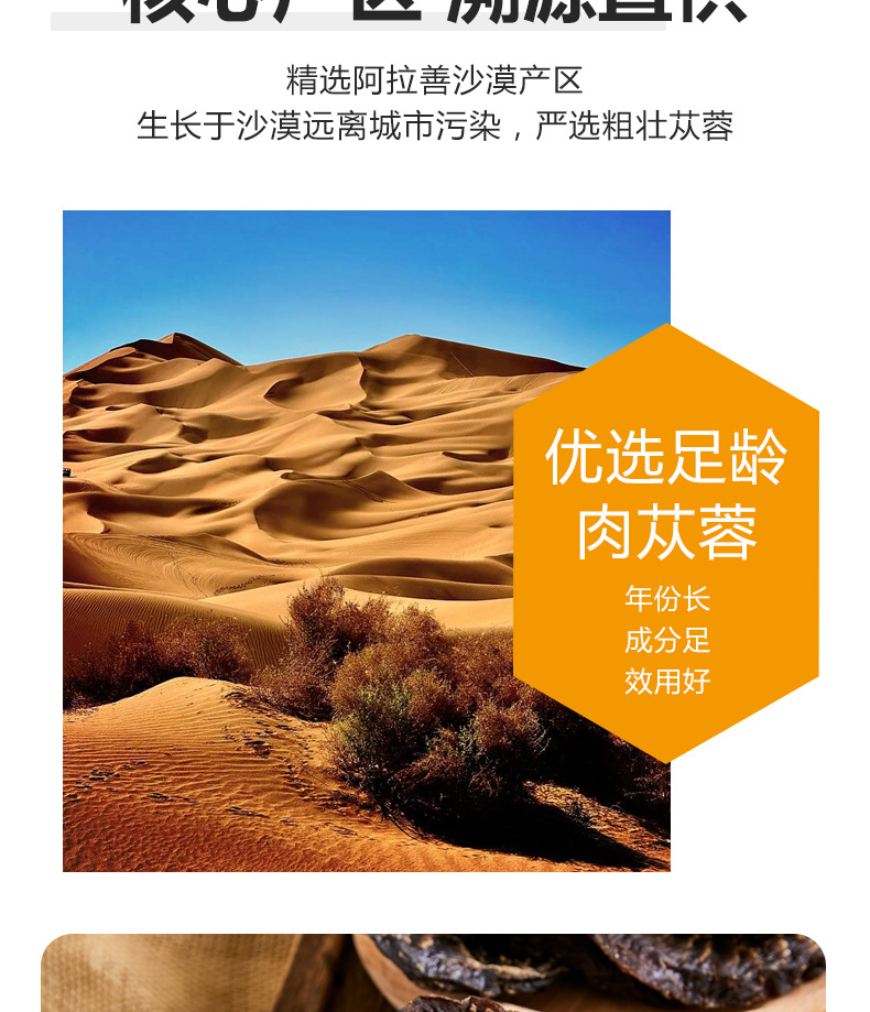 Alxa Cistanche Slices Suoyang Pian Dried Herbal Slices for Tea Soup and Wine Soaking 500g quality and texture