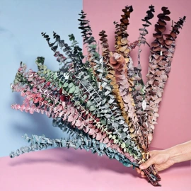 干花;永生花;仿真花