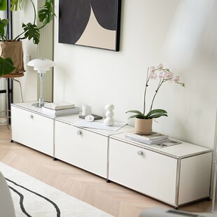 Vintage Tv Cabinet Modern Minimalist U-Shaped Cabinet Living Room Floor-Standing Light Luxury Sm Home Stainless Steel Storage Cabinet Small Apartment