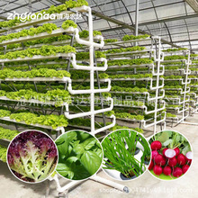 ���lPVC���Ϸ��ܴ���߲˷Nֲ���~�˹�����100*50ˮ���߲˹ܵ�