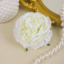 ���Q���N�������ͼҾ��k������[�O��c���÷��滨���������l