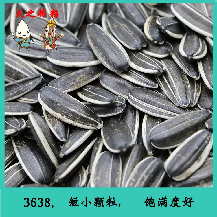 出口生瓜子3638新货原味现炒熟葵花粒散装新鲜毛磕零食向日葵瓜籽