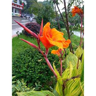 ��ѿ�����˽��N��� �Gֲ�������� ���˽������m���t��ɏ����