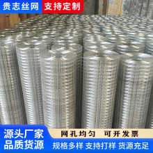 现货批发电焊网冷热镀锌铁丝网圈玉米钢丝网果园围栏网