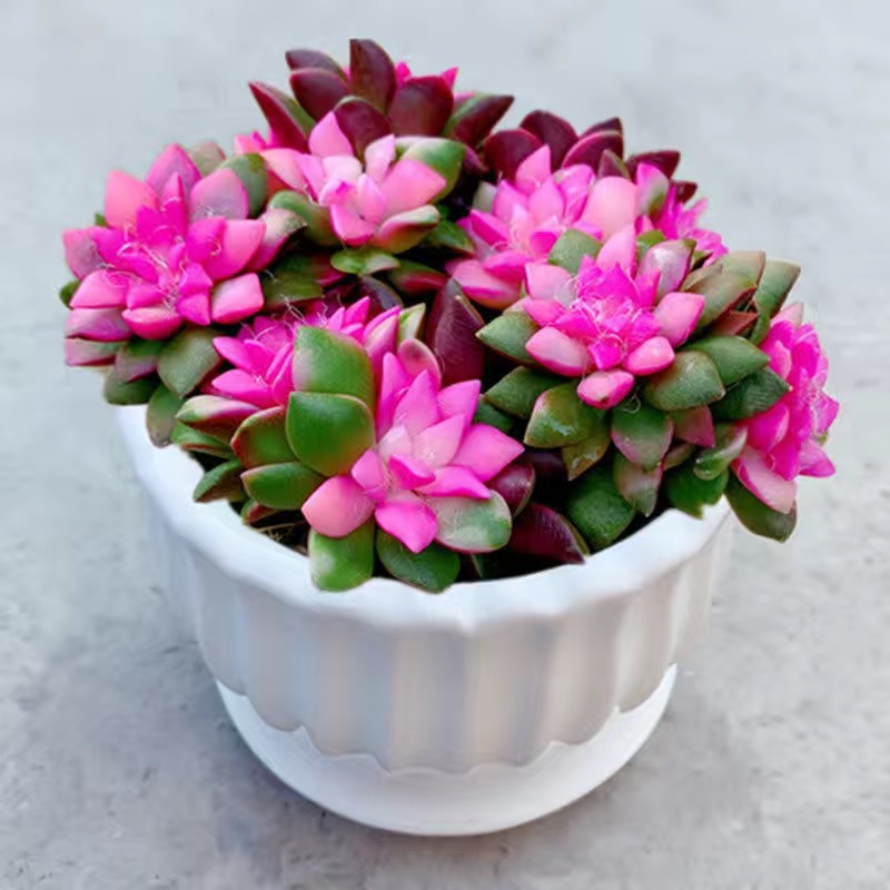 흰색 세면대 + 부는 눈