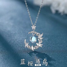 2024新款蓝桉与鸟S925纯银月光石项链女生韩版轻奢小众银饰锁骨链
