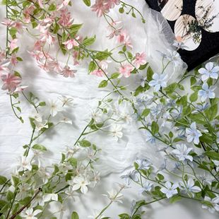 �¿���滨�L֦�������c������Y���b�·�����Ų廨 �S�����l