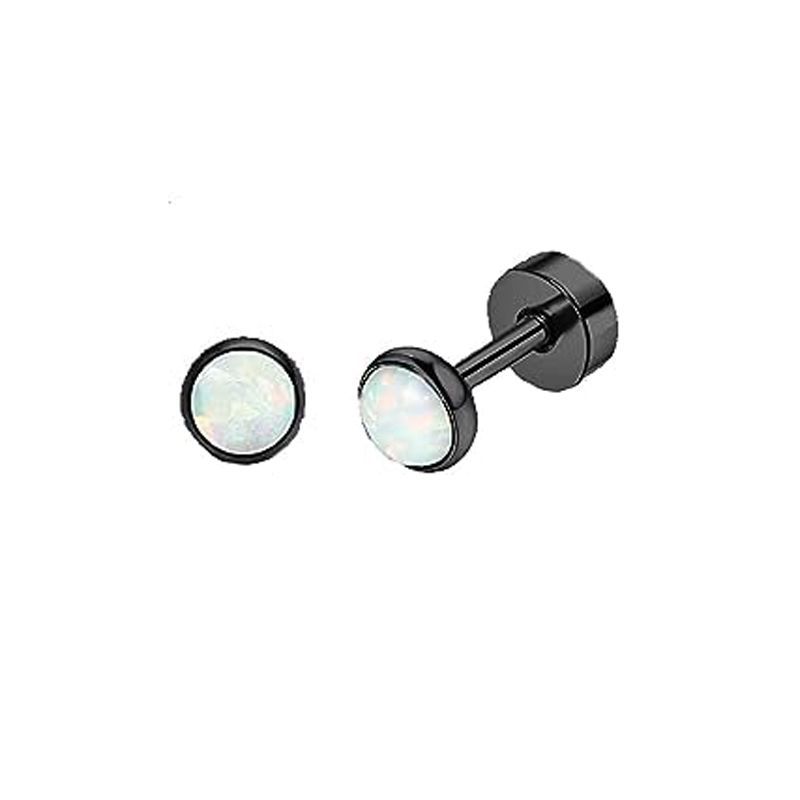 Stainless Steel Black Zircon Pearl Earrings Simple Geometric Stud Earrings for Women Fashion Piercing Jewelry 2024 Spring detail image 21
