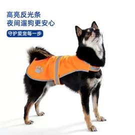 狗狗服装;其他小宠用品