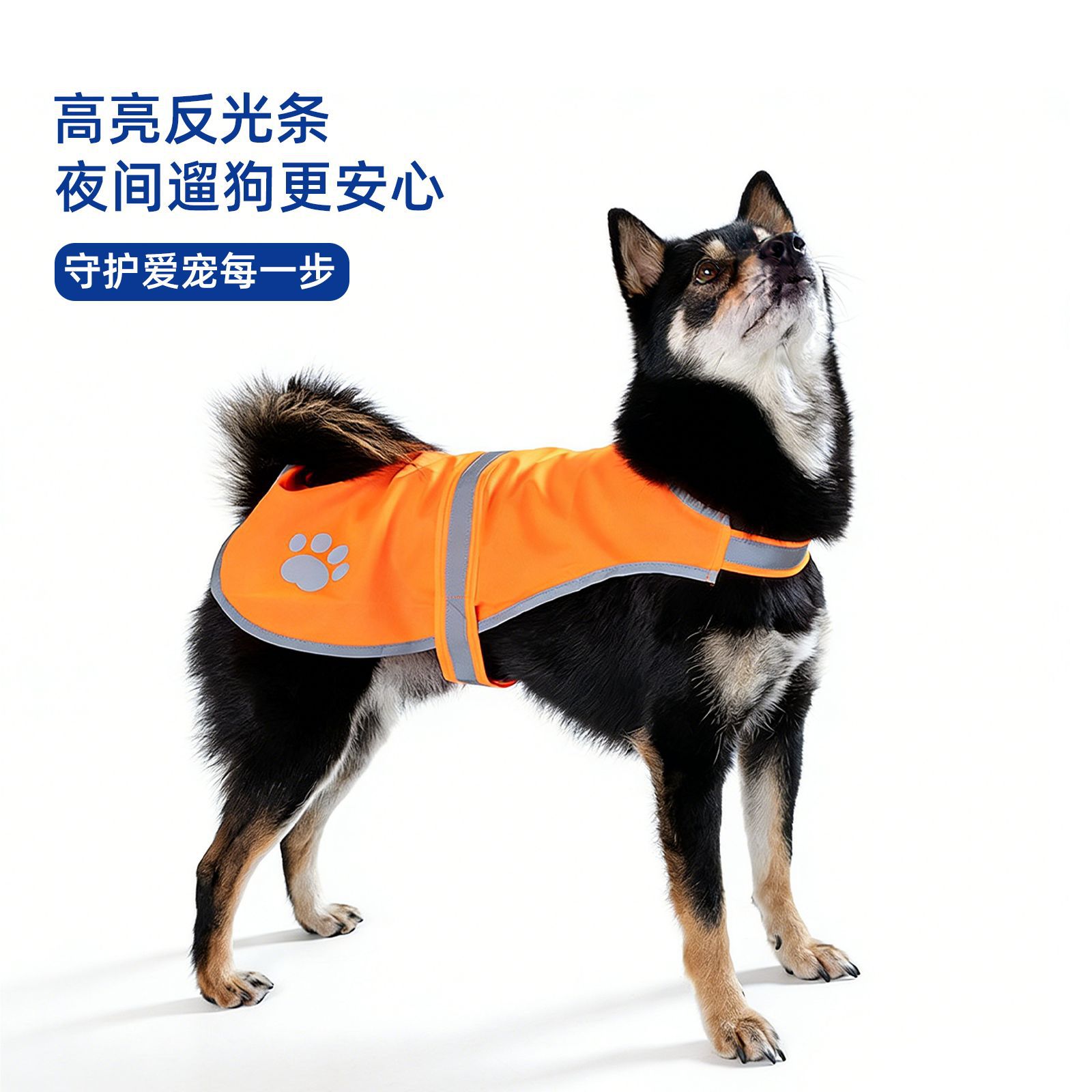 retroreflective travel fluorescence safe vest
