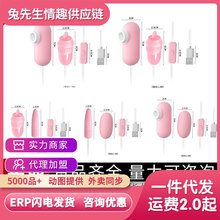 来乐调情USB线双跳蛋吸吮舌舔变频震动棒成人情趣性用品 成人用品