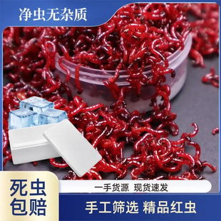 �ش��r��t�x���D̖���^���w�D���D�ڿ��a�~�D�����Ұ��~�D