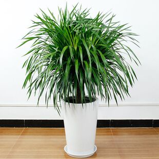 ��횘��F�m��Ѫ���҃ȿ͏d�������ԾGֲ���܃����՚���]