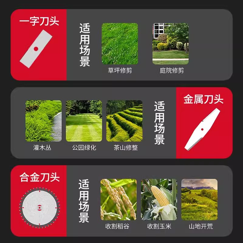 O1CN01Wey9Qm1kZjZKRRWBq_!!2214