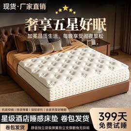 五星级酒店乳胶记忆棉30公分加厚床垫压缩折叠卷包床垫宿舍单人垫