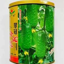 绿玲珑旱黄瓜水果小甜黄瓜种子 春秋季播蔬菜阳台盆栽 籽高产抗病
