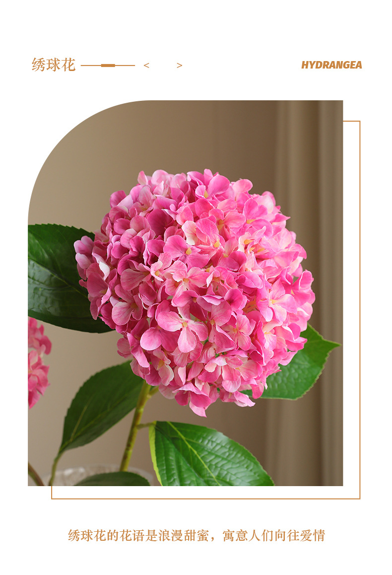 爱妃单支绣球_02.jpg