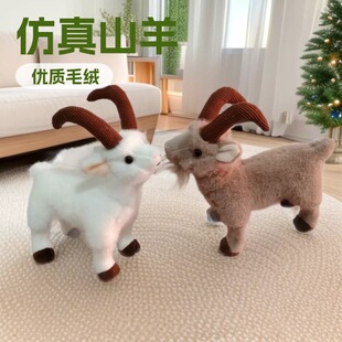 ë�q��߿羳 ɽ�� ���� ���l�̈����м���[�O�YƷ ��ż����  ��