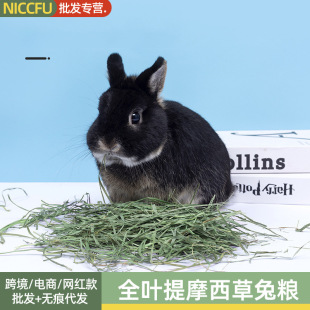 NCȫ�~��Ħ���üZ����ϸ��~���������ϸ���؈���m�i���üZ