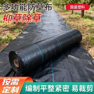 �S���r�ó��ݲ���ɫȫ���Ϸ��ݲ��@ˇ����Nֲ͸���ֲݲ����ܷ�ˮ