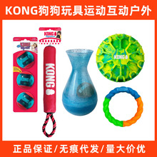 KONG狗狗玩具运动弹力球互动拔河夜晚遛狗发光飞环训犬解闷