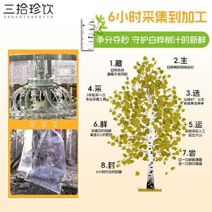 Three pick Jane drink birch juice 100 raw liquid raw juice woody plant beverage whole box source factory wholesale
