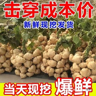 �������r����9���r���ԷN�׵ع�С����ɳ����t�����߲���������