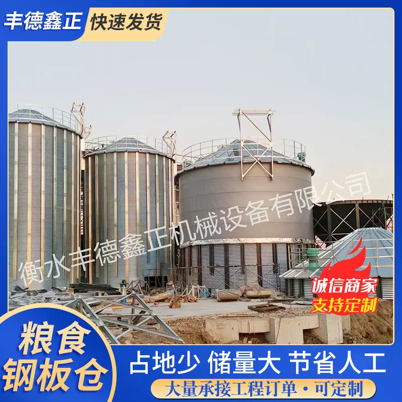 粮食提升机畚斗源头厂家生产基地性能好安装上门