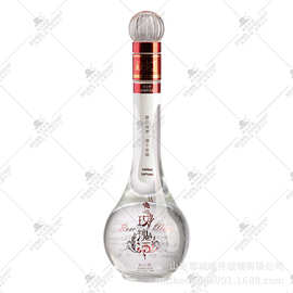 五粮液玻璃酒瓶现代简约白酒瓶红酒瓶 晶白料玻璃空酒瓶