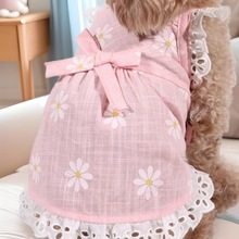 ٽzȹﱡ̩؈乷_͸ë