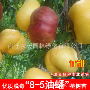 �޽�����9̖�Ҙ����x�˴�����������������ϱ����N����Y������