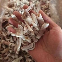 �R¹��Ƭ �R¹����Ƭ ���z�� �߳��z�� ������ϸ� �p�¹�l���l