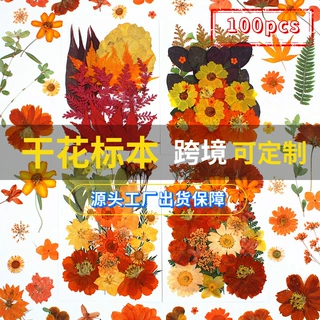 新品25pcs橙色干花压花包diy材料包压花批發真花植物标本跨境树叶