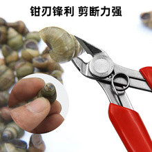 б���Q DIY���P�б���Q 170����Qˮ���Q�����ݼ�늾����С����