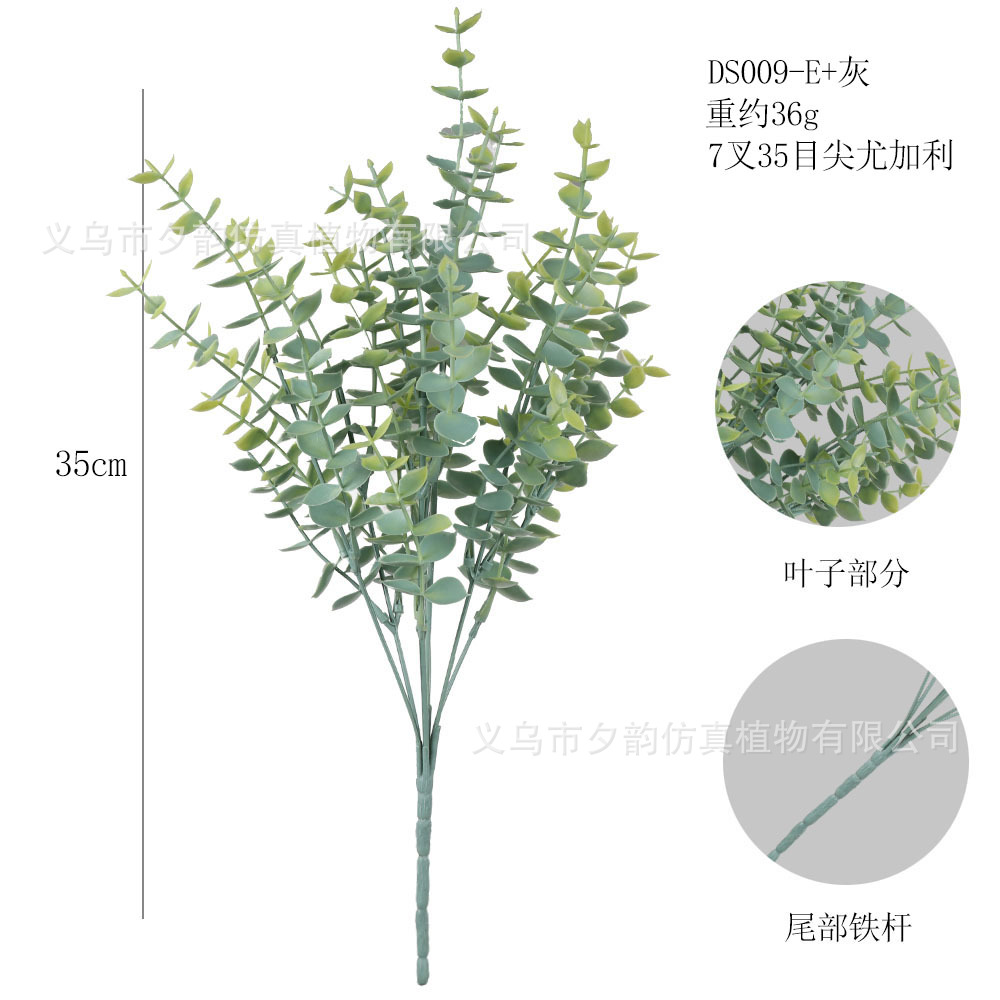 DS009-회색 녹색 7포인트 유칼립투스