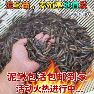 ̨�����q���r��С���q���D���r���w���q����~�A�q���q�����Bֳ��