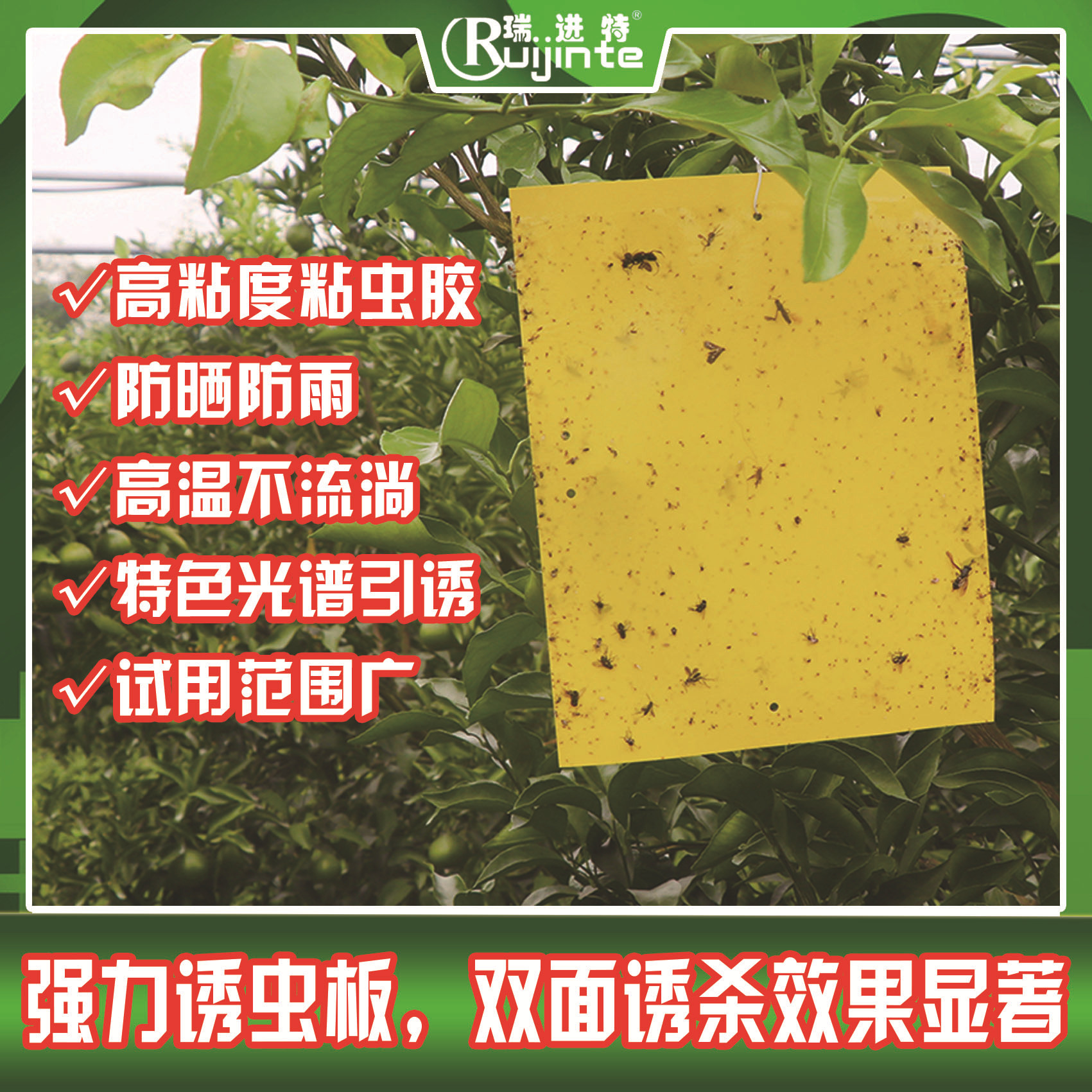 粘虫板批发双面诱虫板大棚茶园果园温室专业沾虫板黏虫板厂家直销