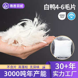 源头厂家直供白鸭羽毛片绒片羽绒沙发抱枕靠背枕羽绒原料填充物