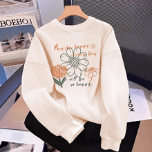 2025�¿����＾�A�I�l��Ů���ﱡ���L�������a������ɫ�oñ����