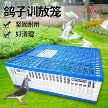 ������������Ʒ��ِ��Ӗ�Ż\�����ۯB���w�\���������û\���l