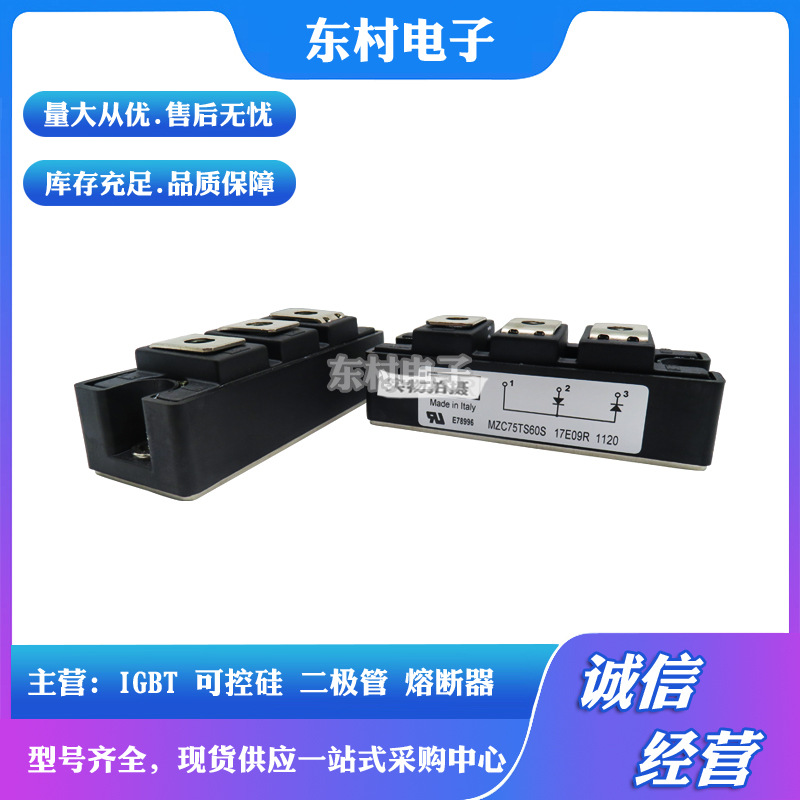 全新MZC75TS60S  MZC100TS60S   MZC150TS60S  二极管模块现货