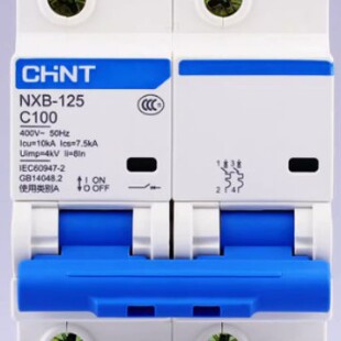 ��̩NXB-125�ʹ����΢�� 2P 100AС�͔�·�� ����/���ÿ՚��_�P