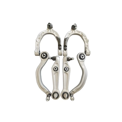 Swing Arm, Asqı sistemi / Xodovoy hissələr