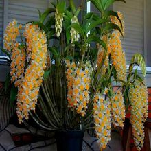 ʯʯԑ˷Nֲm總Gֲ\ʯʳ