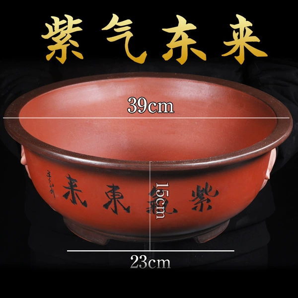 Ziqi Donglai large bowl 39cm♜♜