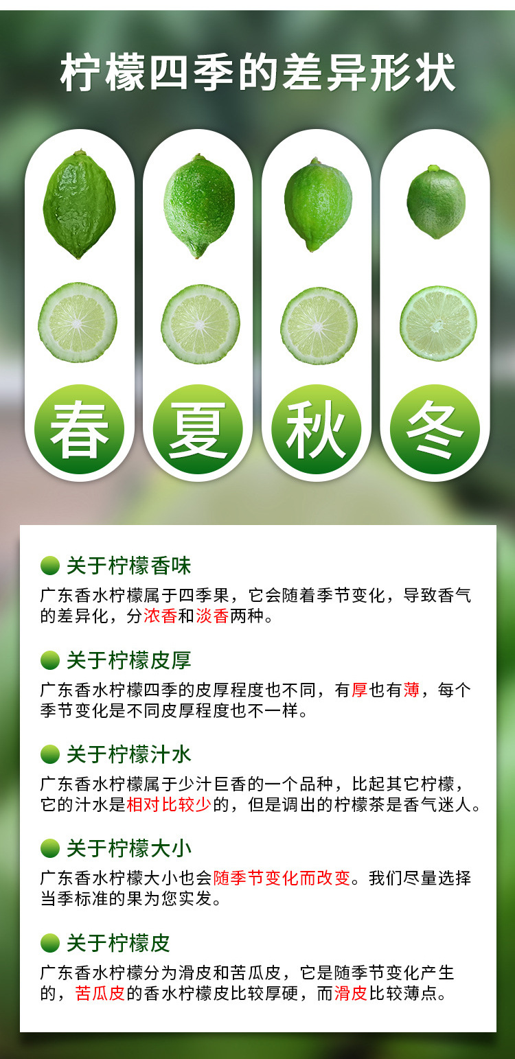 次一级香水柠檬_11.jpg