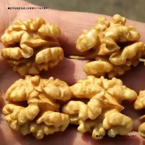 新货核桃仁原味核桃仁生孕妇核桃仁袋装核桃仁批发罐装小包装包邮