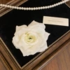 White flower hairpin (AA0817)