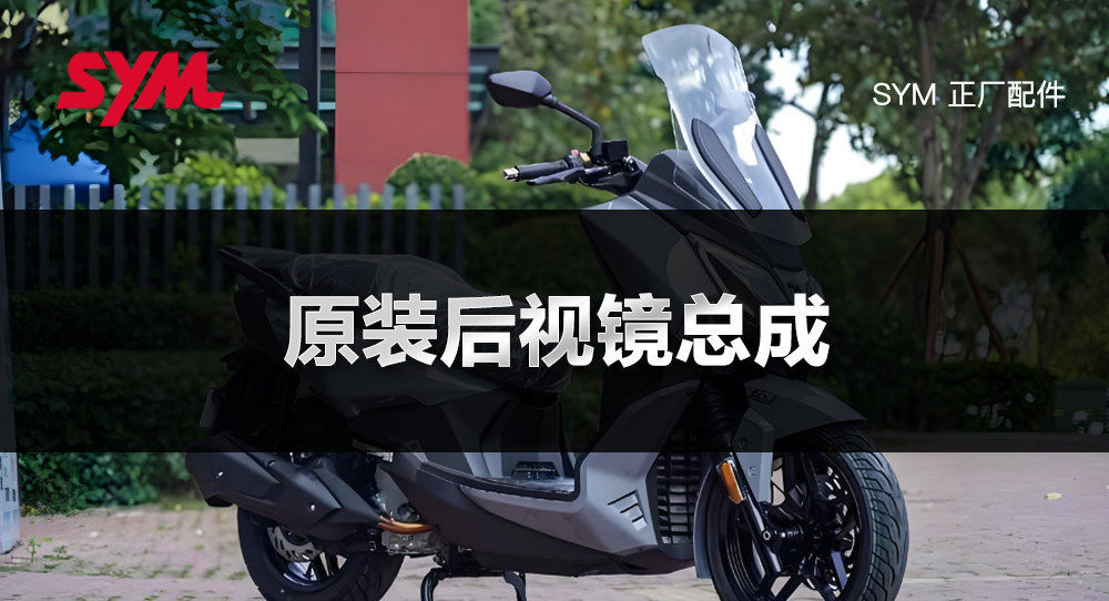 Original Genuine Sanyang Scooter Motorcycle Rearview Mirror for Ninebot Z300 and Ninebot F300