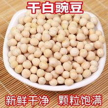 㶹2025؛㶹ʳÿɰlѿsؑcС^